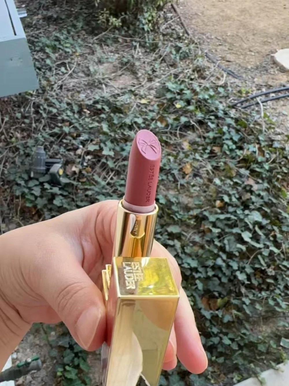 Estee Lauder 2025 holiday